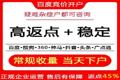 行业领先企业的SEM代运营成功之路